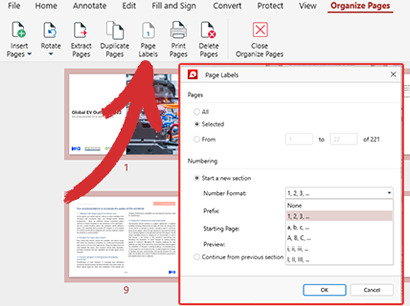 labeling pages in PDF Extra