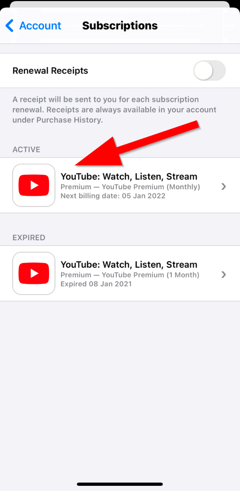 Cancel or turn off recurring billing for an Apple App Store subscription 2