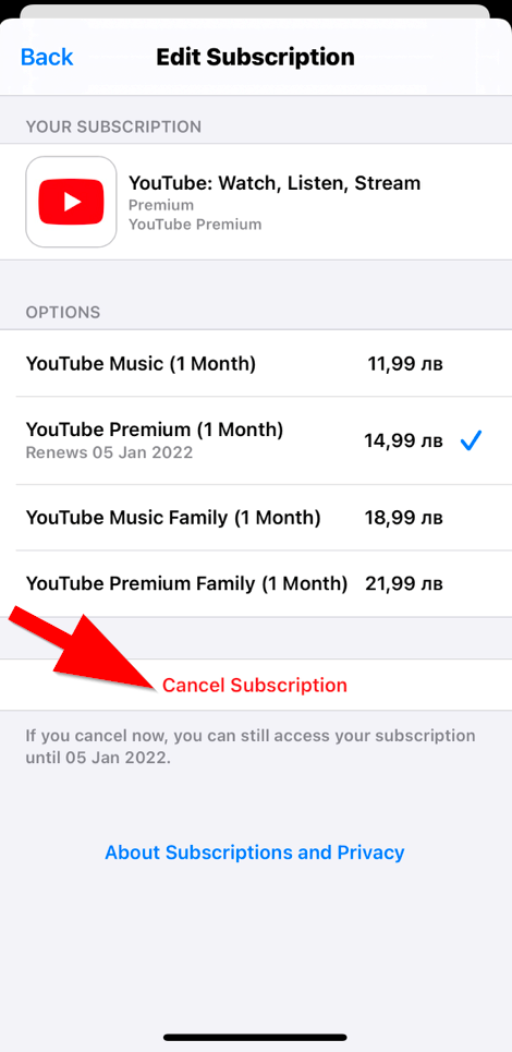 Cancel or turn off recurring billing for an Apple App Store subscription 3